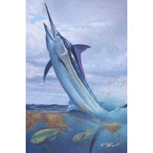 Blue Marlin Painting "In the Weeds"